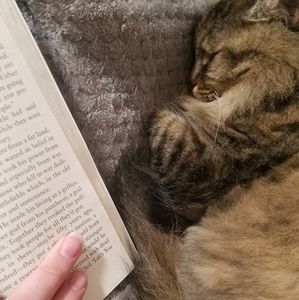 Meet your Posher, Rachel